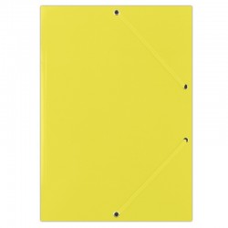 Mapa din carton plastifiat,...