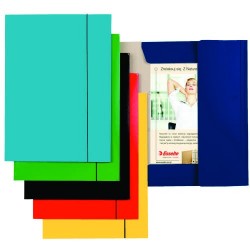 Mapa ESSELTE Economy din...