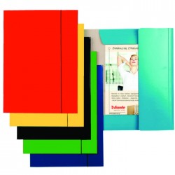 Mapa ESSELTE Economy din...