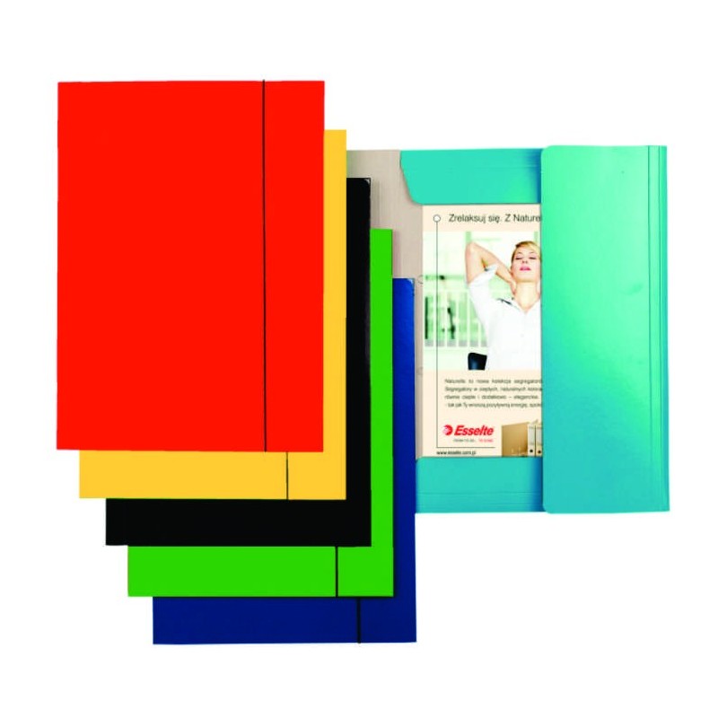 Mapa ESSELTE Economy din carton cu elastic - rosu