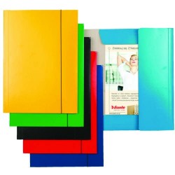 Mapa ESSELTE Economy din...