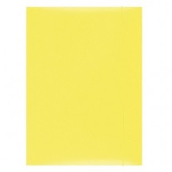 Mapa din carton plastifiat...