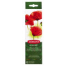 Set acuarele cu pensula DERWENT Academy, 12 buc/set, diverse culori