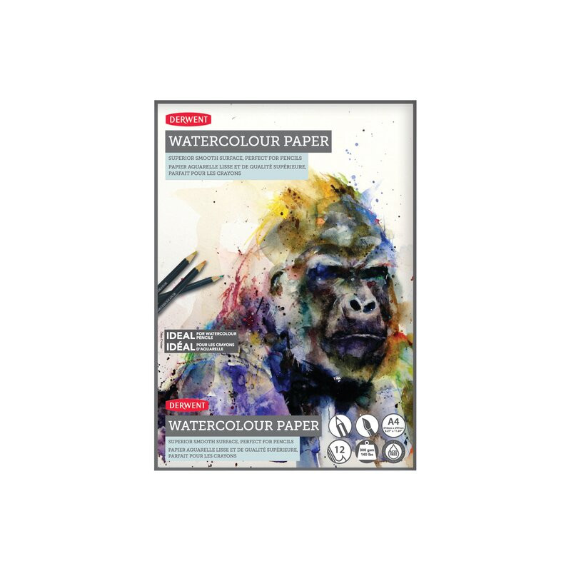 Caiet pentru desen pe baza de apa DERWENT Proffesional, A4, 12 coli, 300 gsm, hartie alba