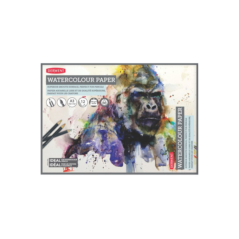 Caiet pentru desen pe baza de apa DERWENT Proffesional, A3, 12 coli, 300 gsm, hartie alba
