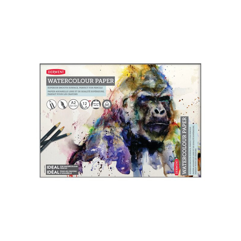 Caiet pentru desen pe baza de apa DERWENT Proffesional, A2, 12 coli, 300 gsm, hartie alba