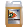 CIF Professional, pentru toate tipurile de suprafete din lemn, 5 litri