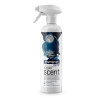 Odorizant camera, cu pulverizator, 500 ml, Clinex Magic Night