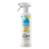 Odorizant camera, cu pulverizator, 500 ml, Clinex Sunny Day
