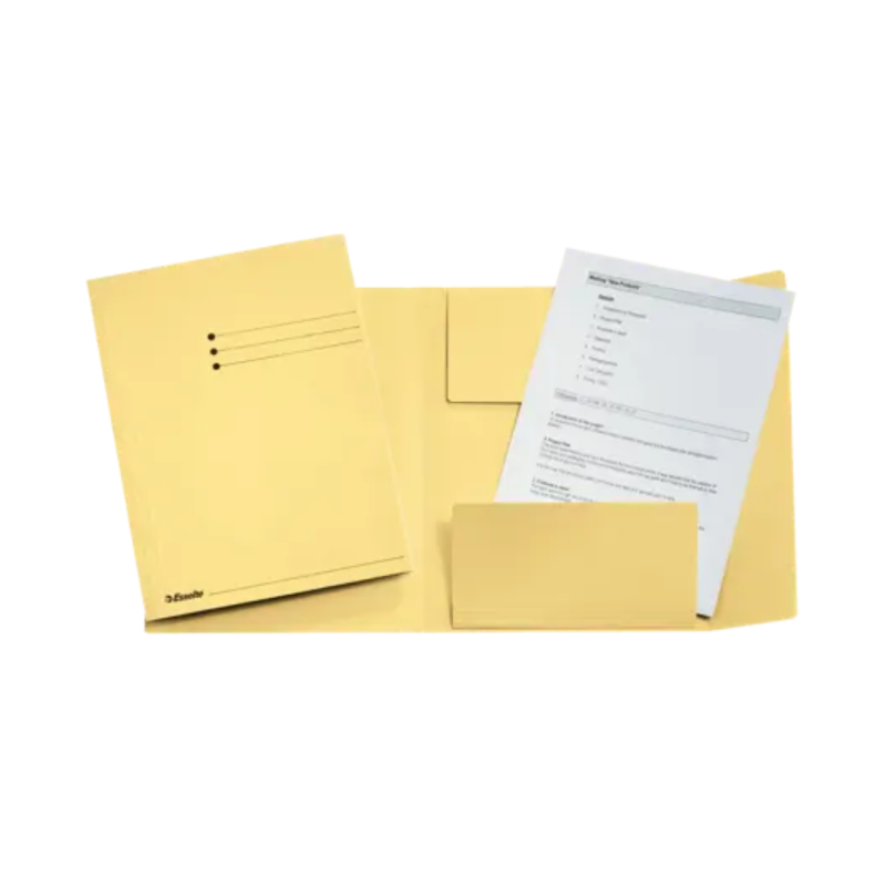 Dosar tip plic ESSELTE, carton, A4, galben