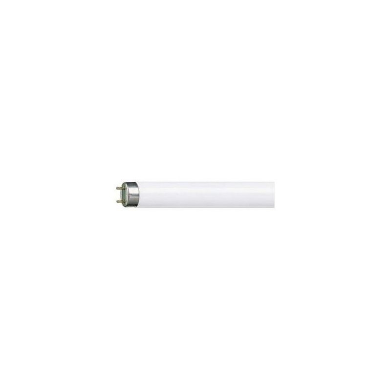 Tub fluorescent T8 36W 1200mm, alb cald - Philips