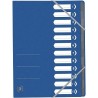 Mapa carton pentru sortare cu 12 separatoare si index, elastic pe colturi, OXFORD Top File - albastr