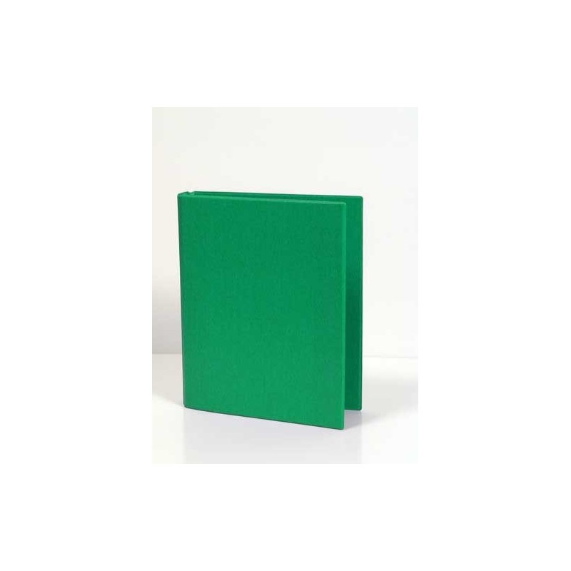 Caiet mecanic 2 inele - D25mm, coperti carton plastifiat PVC, A5, AURORA - verde